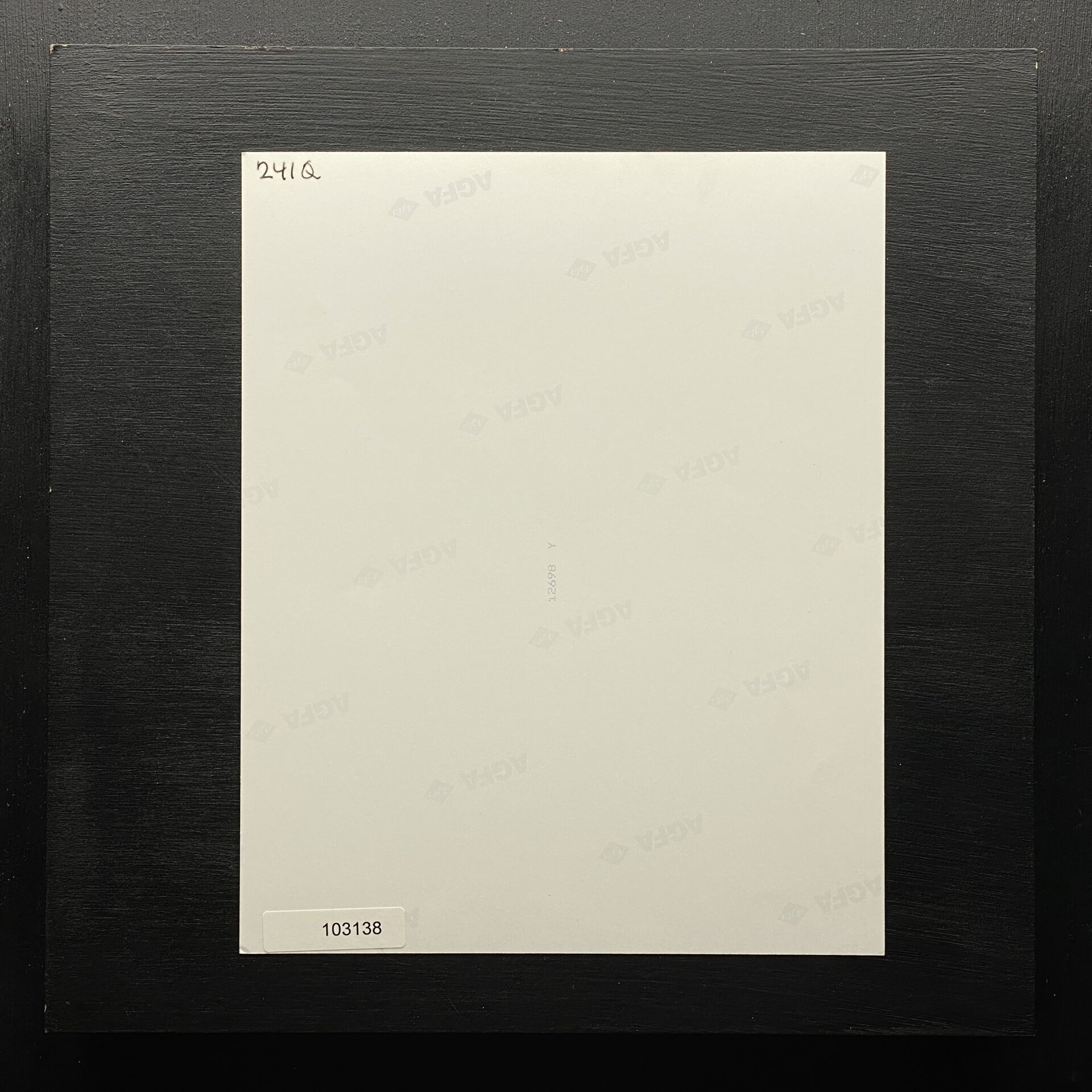 Hale Berry "Signed" (2)