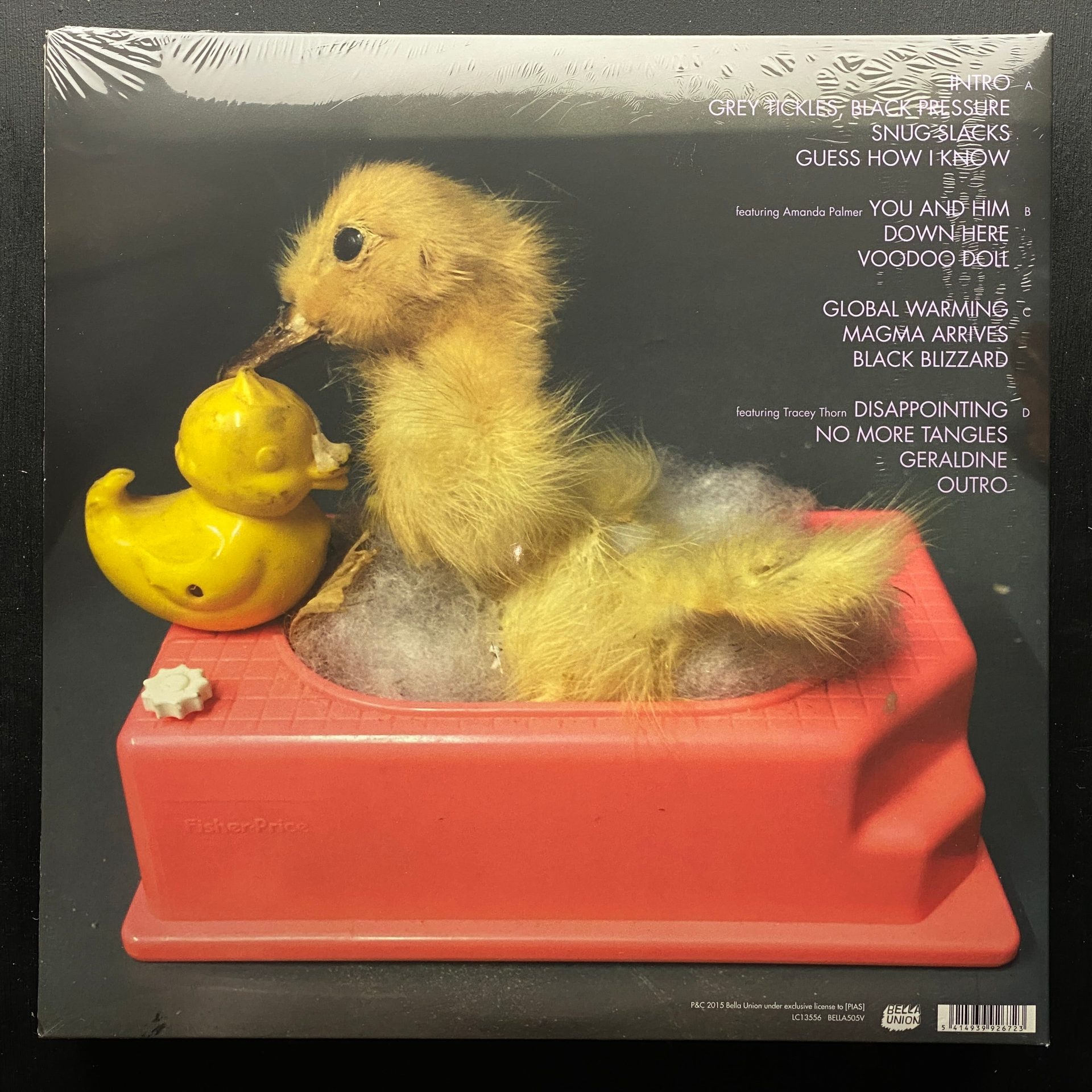 John Grant – Grey Tickles, Black Pressure (2)