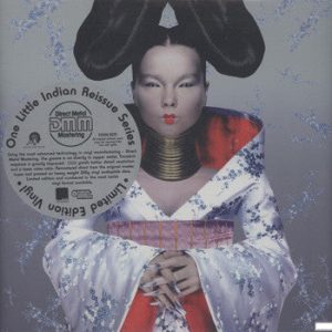 Björk – Homogenic